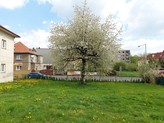 Nabízíme pronájem bytu 2+1 se zahradou, OV, 49m2, Ústí nad Labem-Bukov, ulice Všebořická